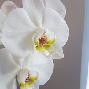 Meet your Posher, Kristyna